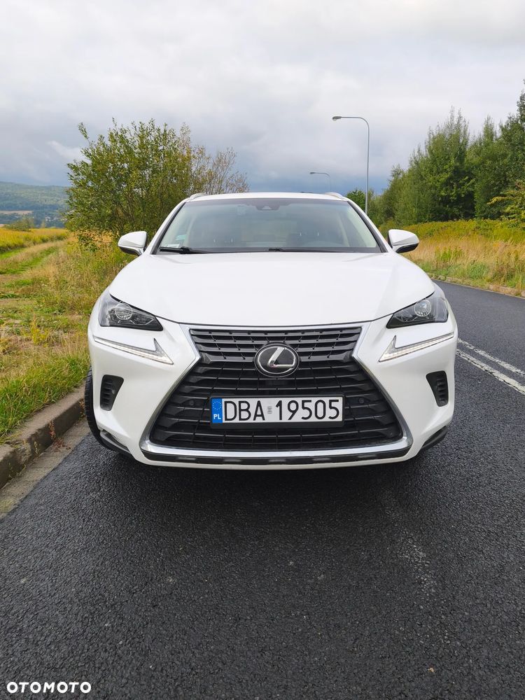 Lexus NX 300 Comfort AWD - 2