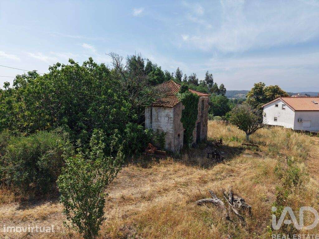 Terreno em Santa Comba Dão e Couto do Mosteiro - Grande imagem: 4/35