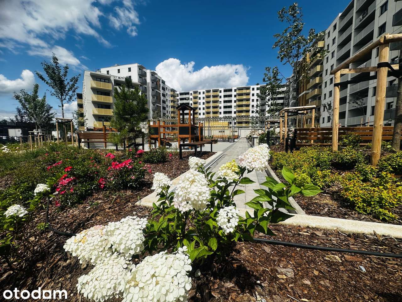 Piękny APARTAMENT + MP ul.Braterska Wrocław obok PARKI, autobusy, PKP!