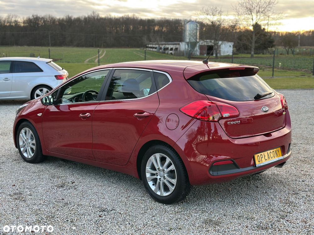 Kia Ceed 1.6 CRDi 128 ISG Edition 7 - 7