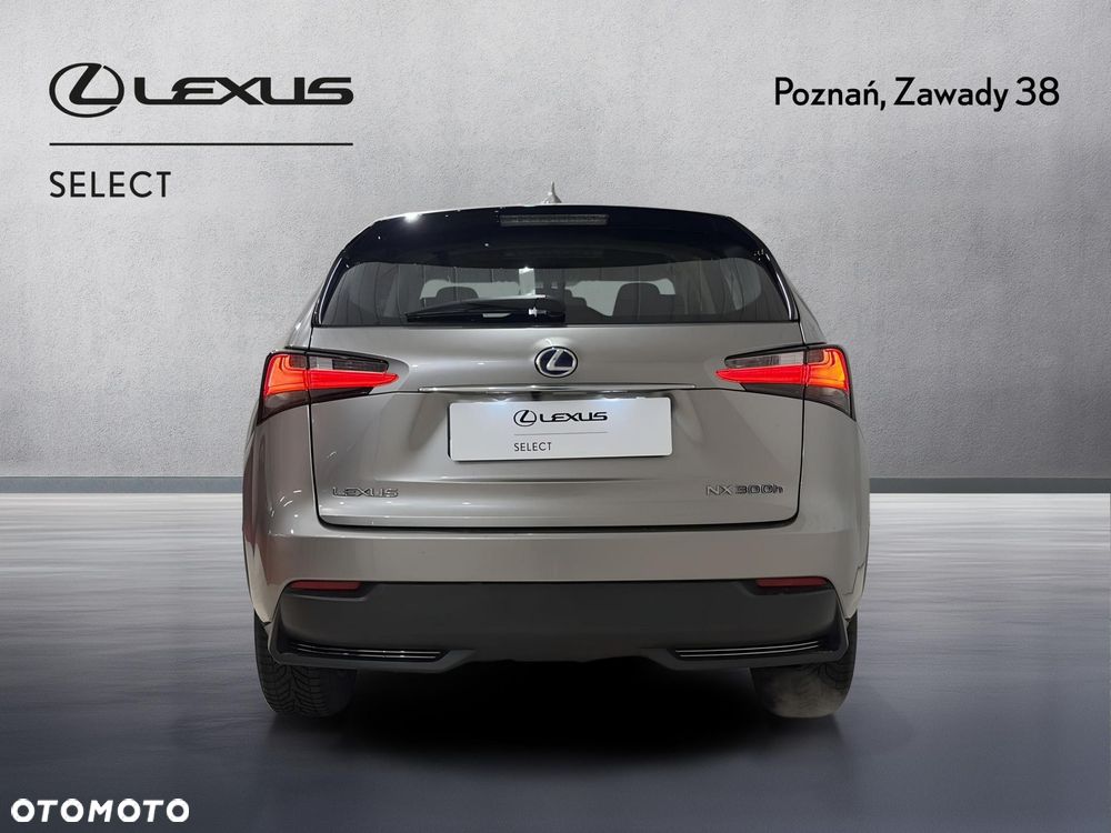 Lexus NX 300h Elegance 2WD - 7