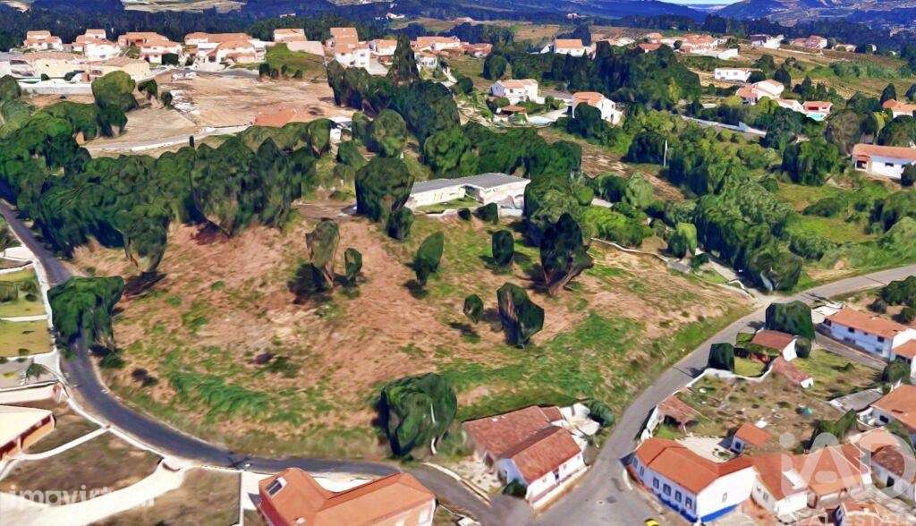 Terreno para construção em Salir de Matos de 6587,00 m2 - Grande imagem: 4/24
