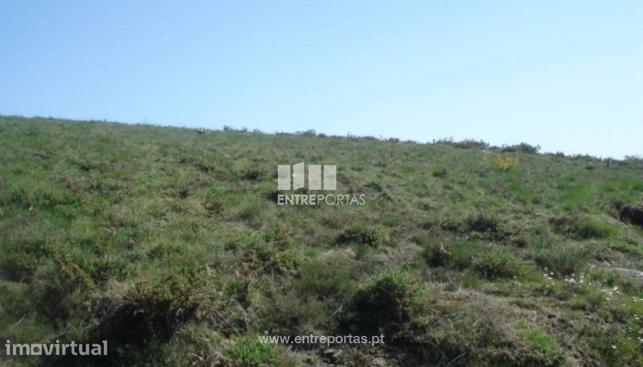 Venda Terreno, vista desafogada, Penha Longa, Marco de Canaveses - Grande imagem: 3/9