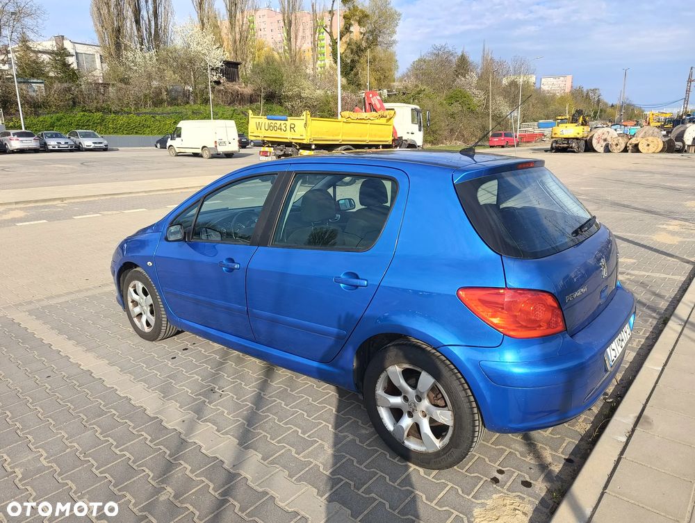 Peugeot 307 1.6 - 10