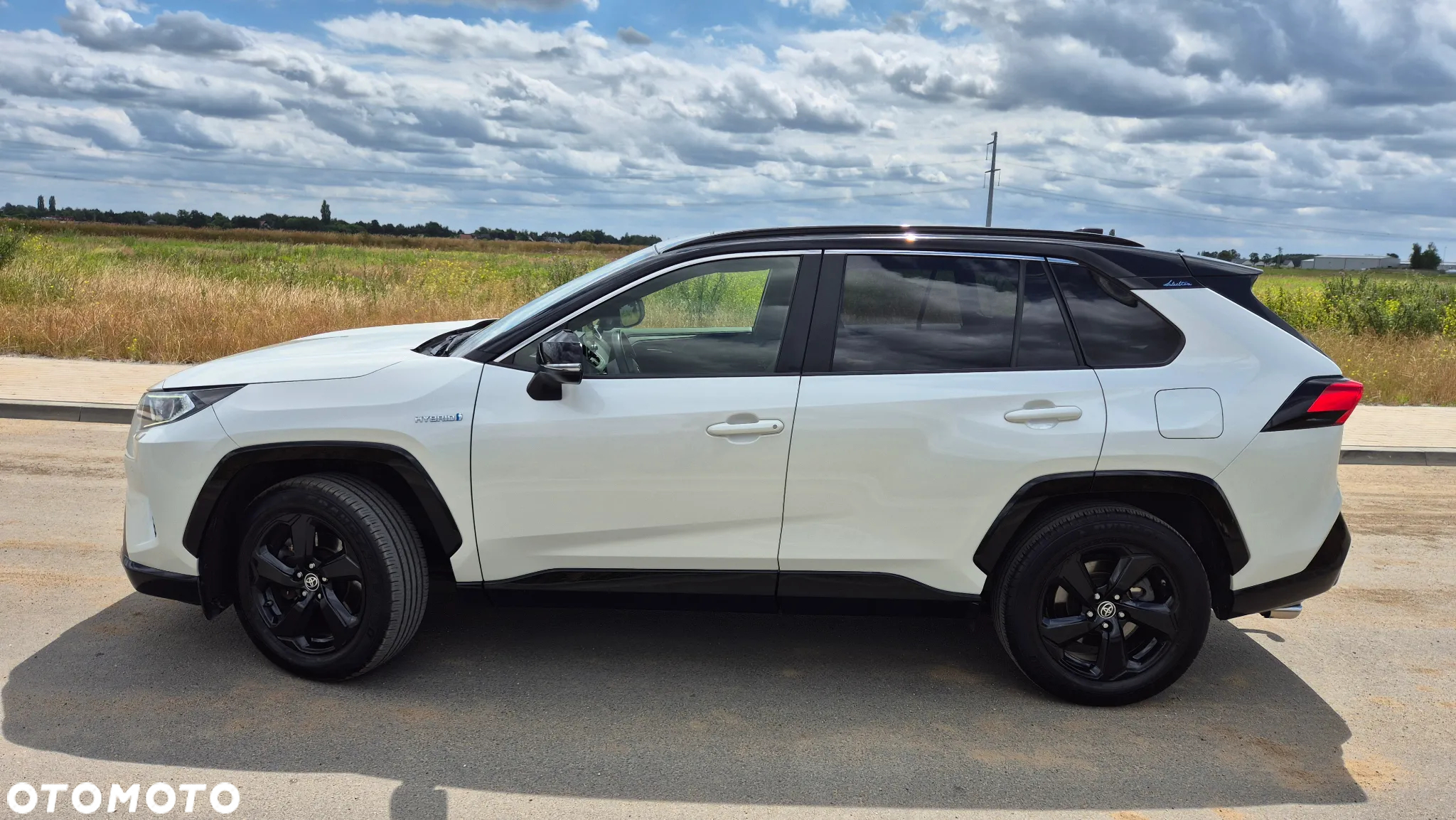 Toyota RAV4 2.5 Hybrid Selection 4x2 - 6