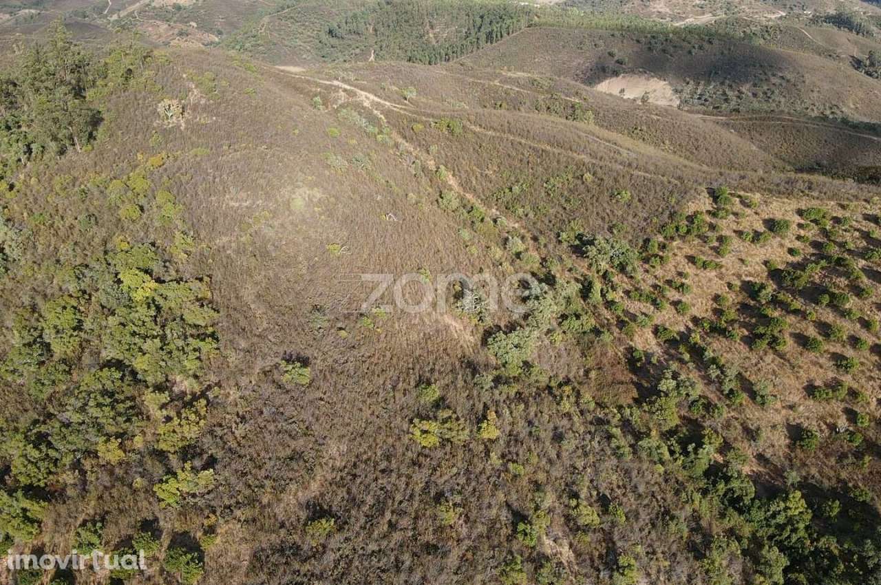 Terreno Rústico em Foz do Ribeiro com 7.920m2, S.B.Messines - Grande imagem: 2/15