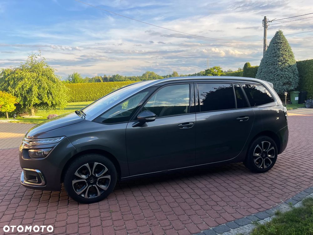 Citroën C4 SpaceTourer 1.5 BlueHDi Feel S&S EAT8 - 4