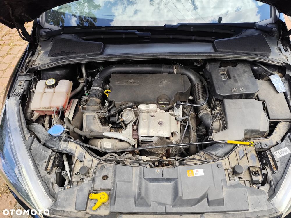 Ford Focus 1.0 EcoBoost ST-Line Black ASS - 13