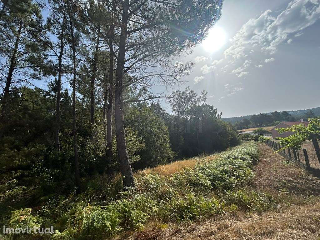 Terreno de construção em Agualonga - Grande imagem: 3/6