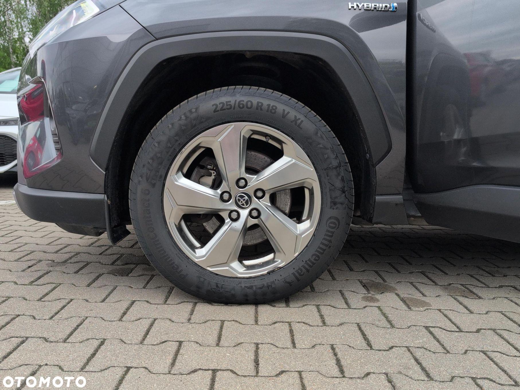 Toyota RAV4 - 19