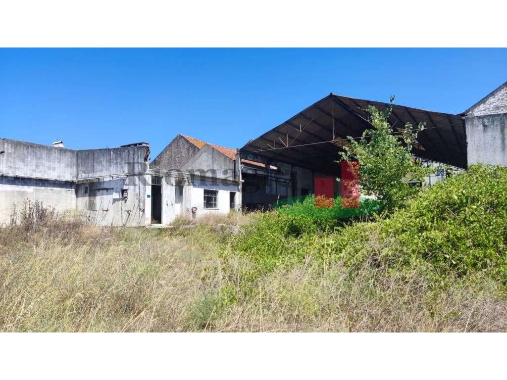 Lote de Terreno em Alpiarça***RIOMAGIC*** - Grande imagem: 5/15
