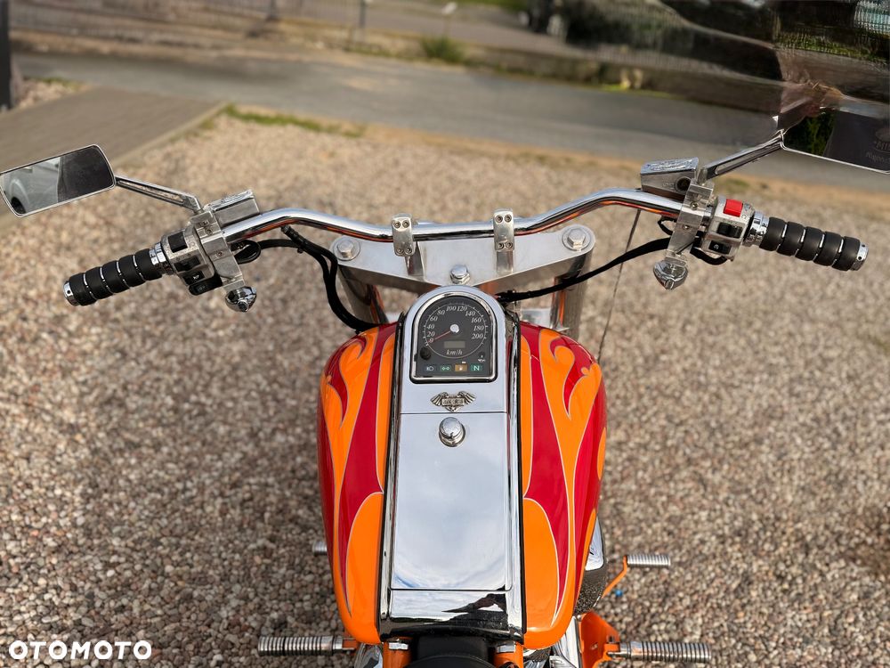 Suzuki Intruder - 19