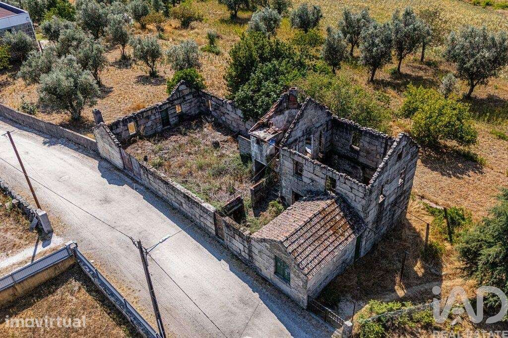 Quinta T4 em Moimenta de Maceira Dão e Lobelhe do Mato de 30000,00 m2 - Grande imagem: 3/22