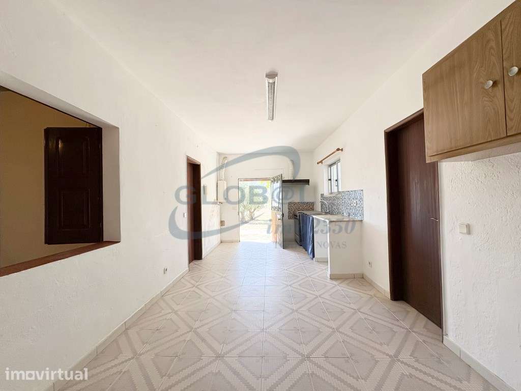 A Sua Quintinha de Sonho com 6.500 m² | Perto de Torres Novas, Gole... - Grande imagem: 5/15
