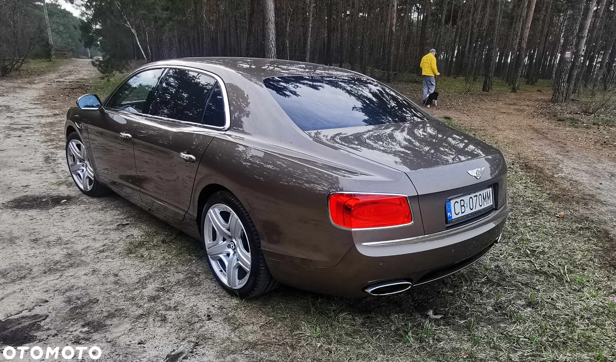 Bentley Flying Spur W12 - 7