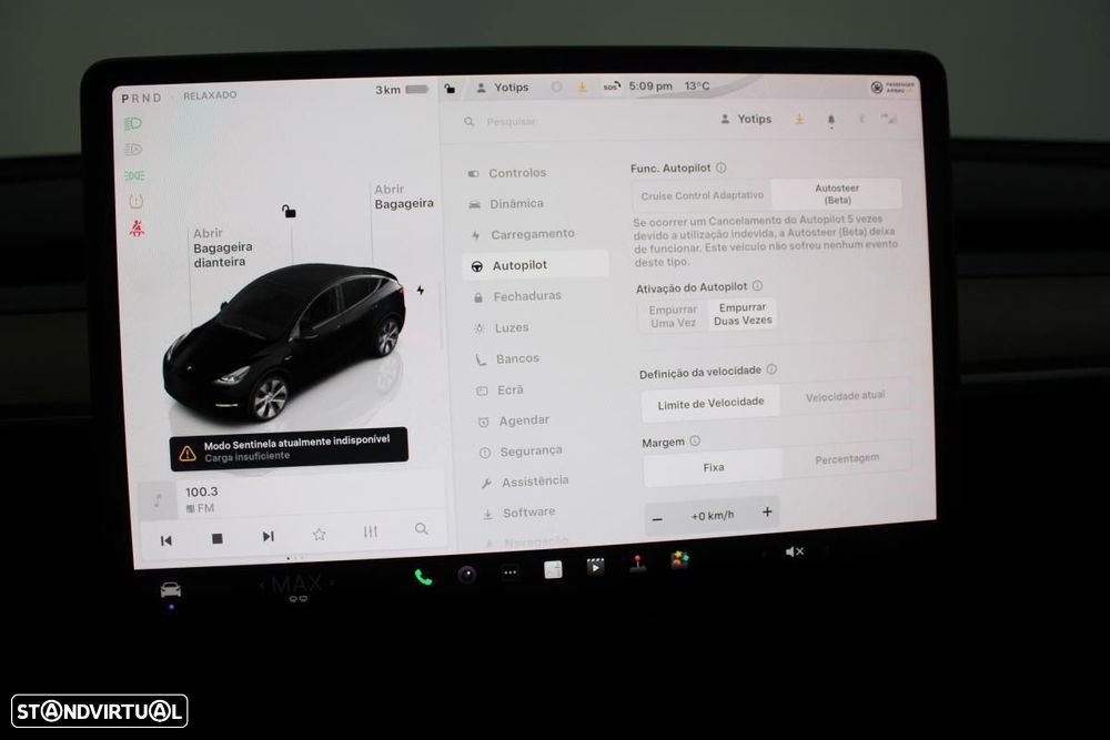 Tesla Model Y Standard - 21