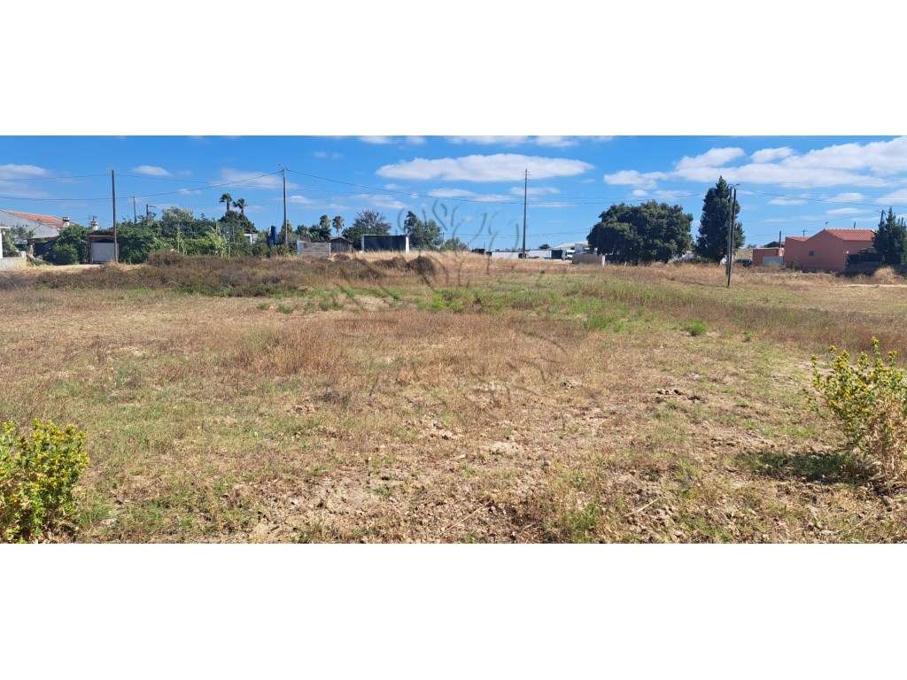 Terreno Rústico Alcochete - Grande imagem: 3/9