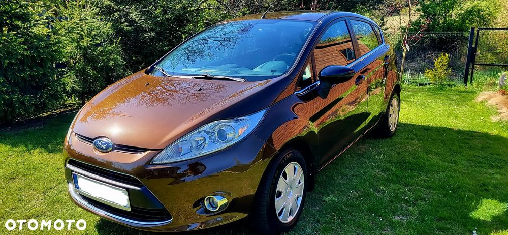 Ford Fiesta 1.25 Titanium EU5 - 21