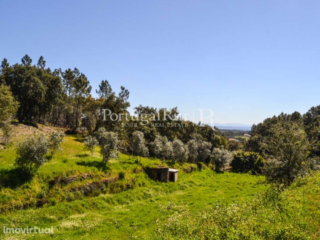 Terreno rústico com 2.317 m2 em Proença-a-Nova - Grande imagem: 3/18