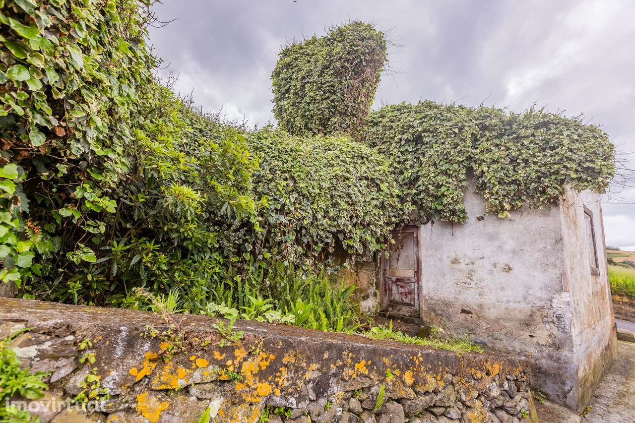 Moradia em ruína - Santana - Grande imagem: 4/13