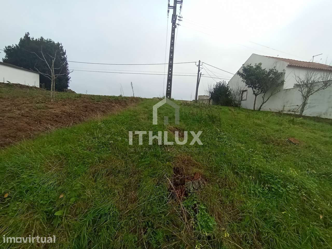 Terreno para construçao moradia com pomar - Grande imagem: 4/9