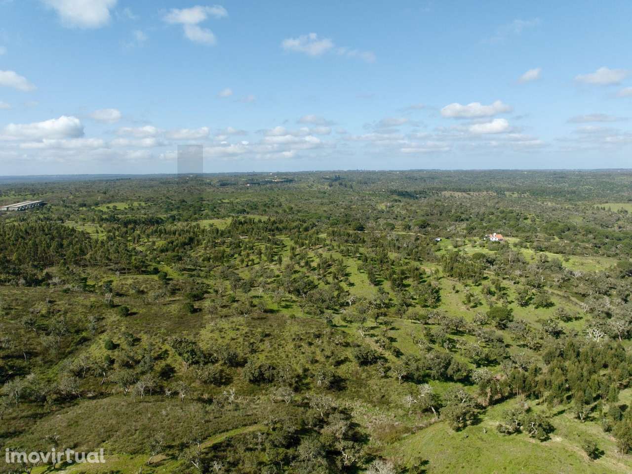 Terreno Rústico com 9,3 Hectares na Serra de Grândola – Mosqueirões - Grande imagem: 3/25