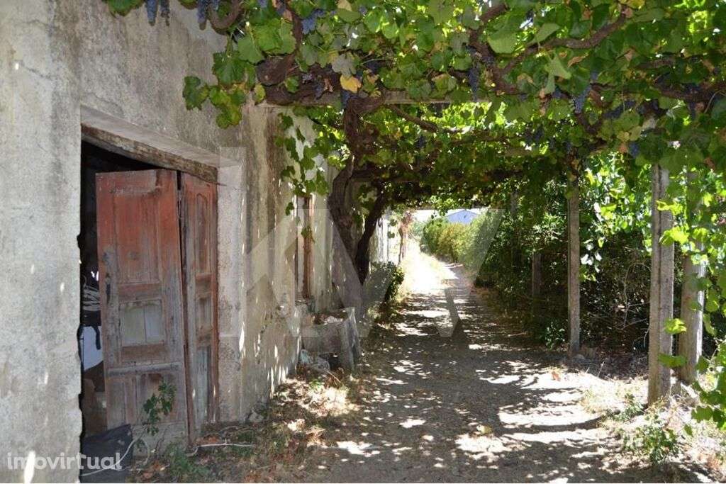 Herdade Agricola com  49ha e Moradia de Familia em Boidobra Covilha - Grande imagem: 4/60