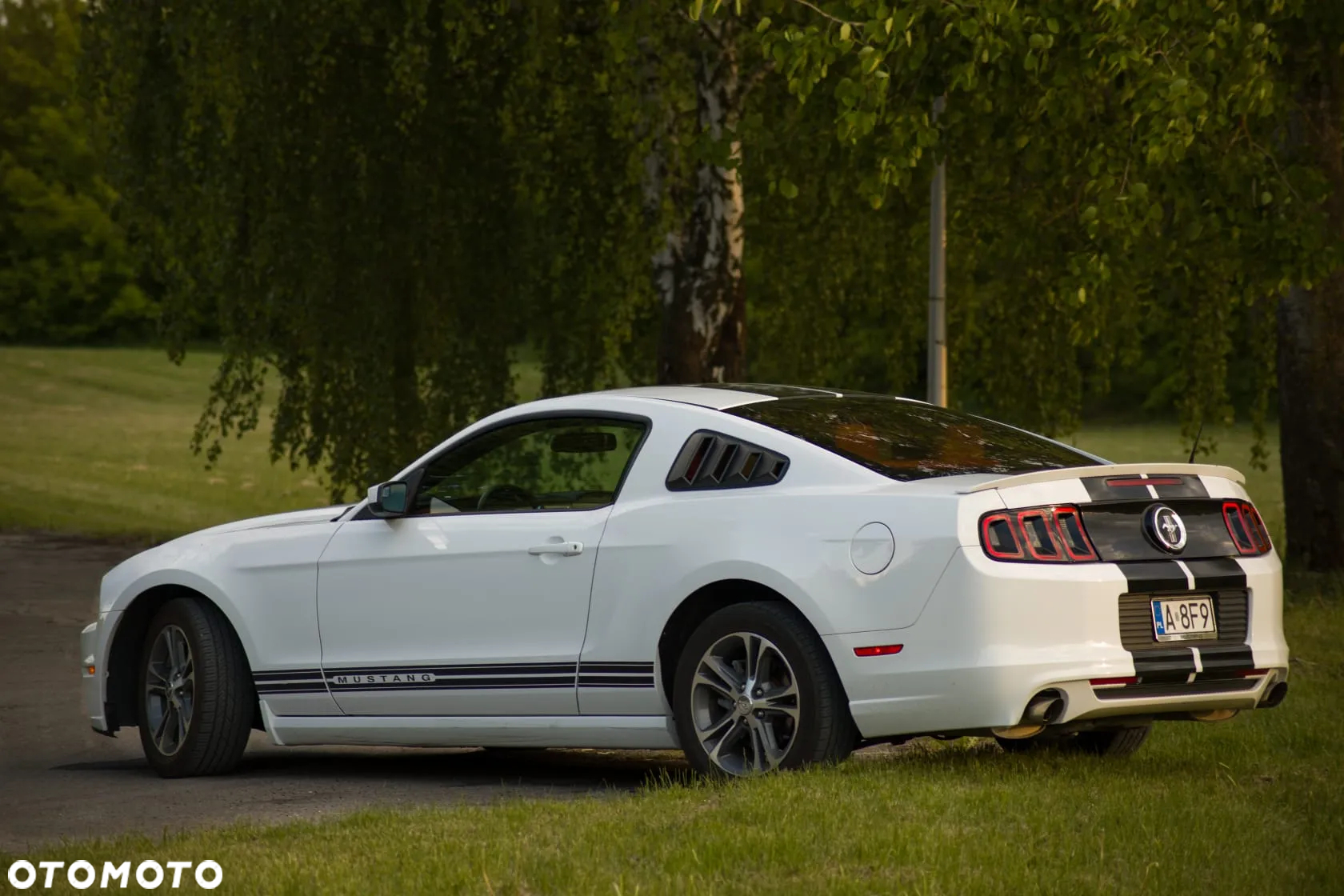 Ford Mustang 3.7 V6 Premium - 4
