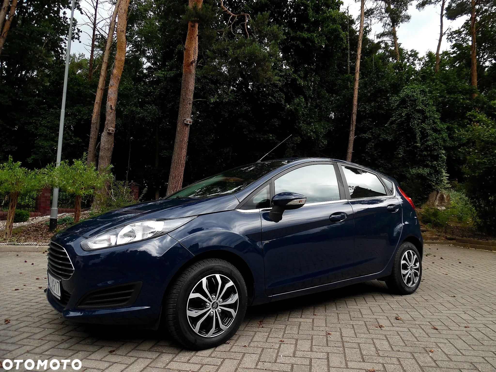 Ford Fiesta - 1