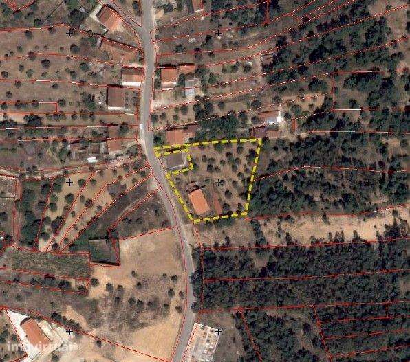 Moradia Tradicional com 2.358 m² de Terreno e Telhado Renovado | Tomar - Grande imagem: 3/33