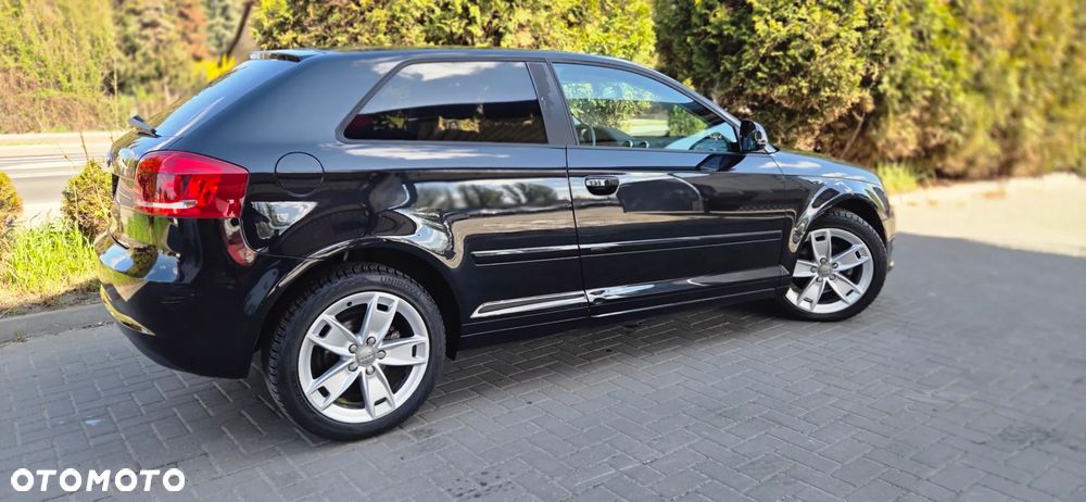 Audi A3 3-drzwiowe 1.6 Limited Edition - 15