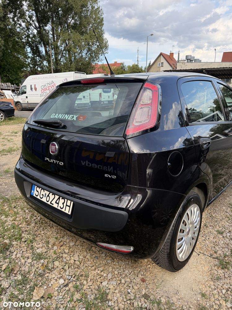 Fiat Punto - 3