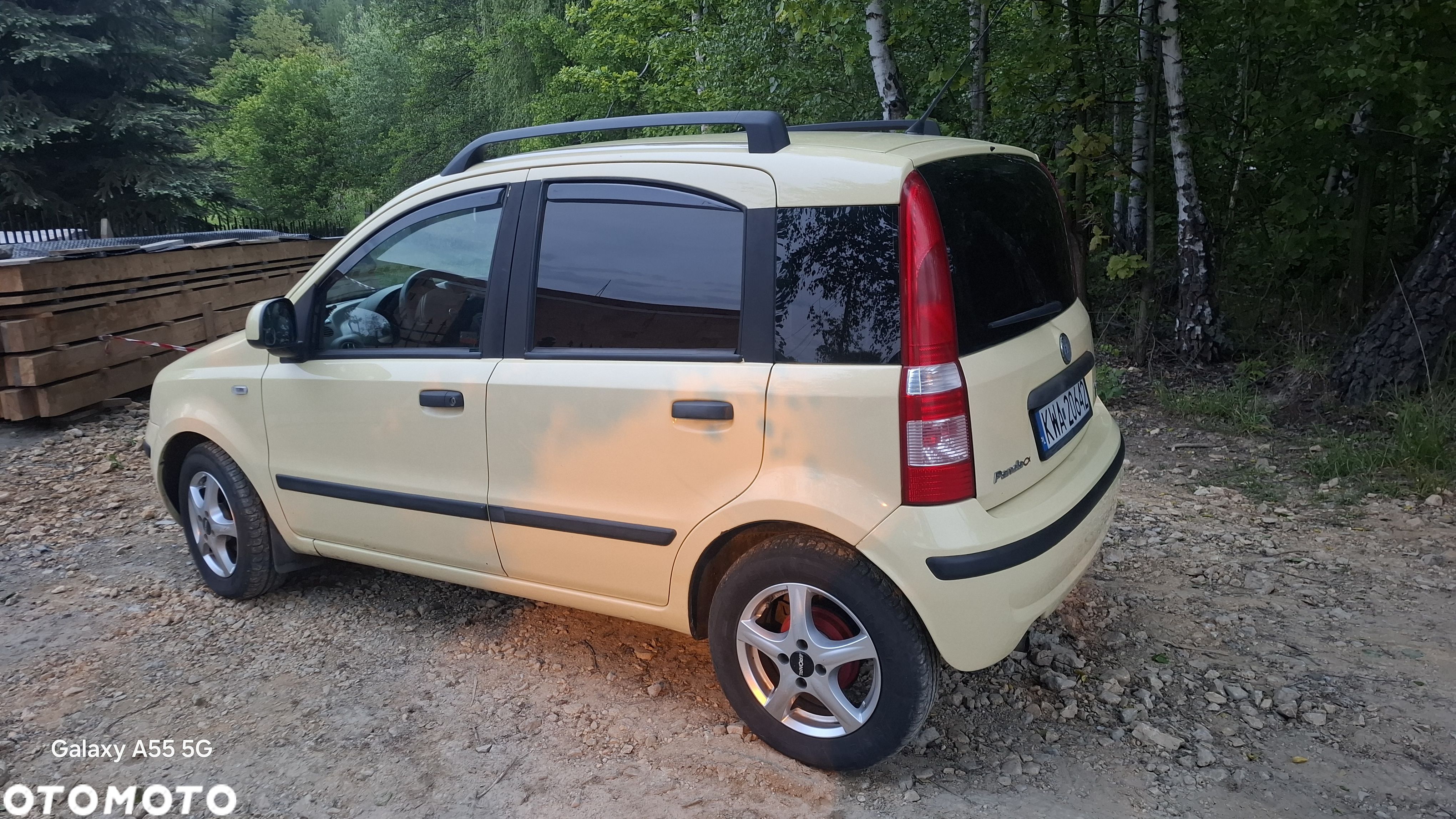 Fiat Panda 1.2 Dynamic - 1