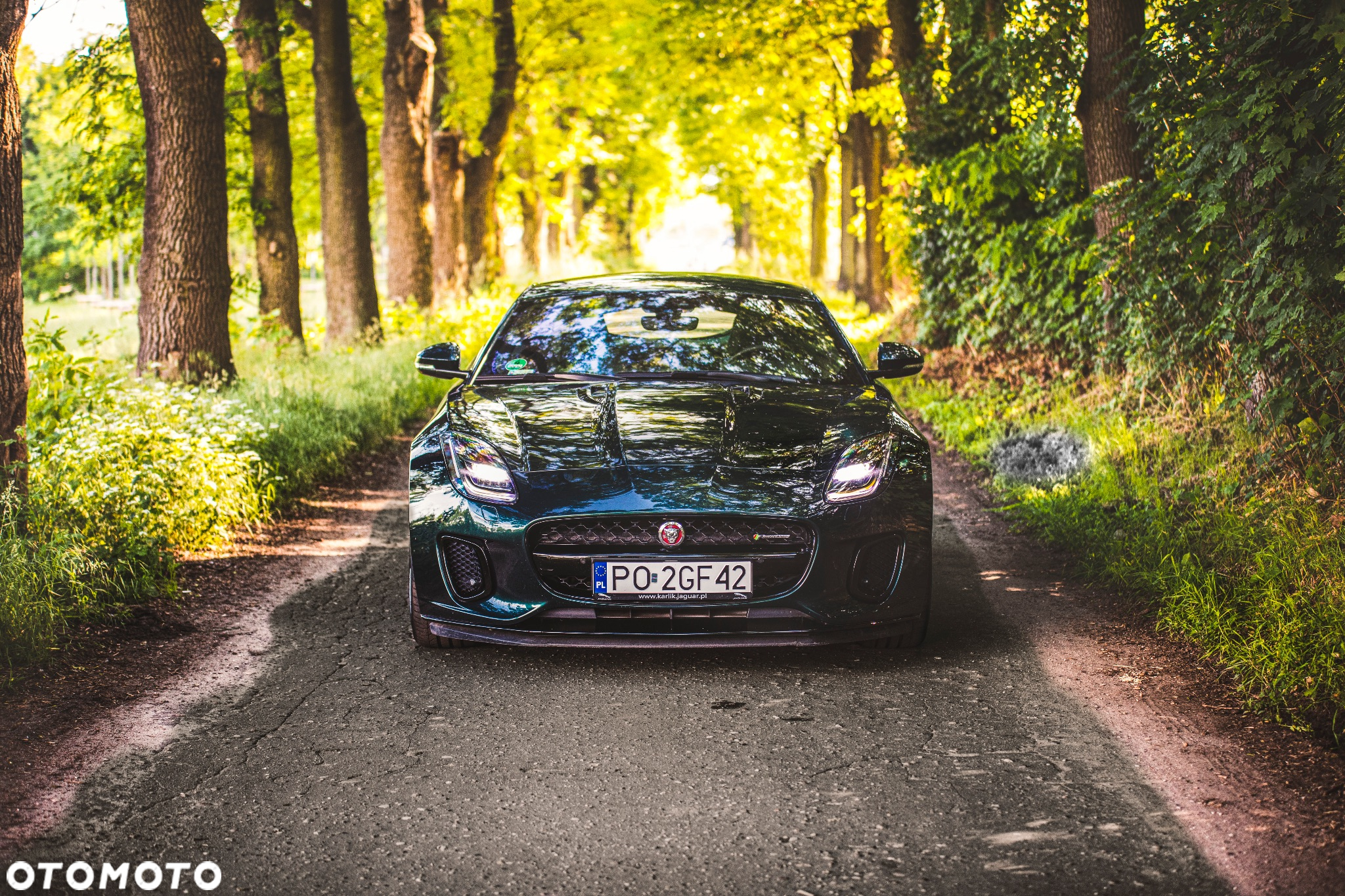 Jaguar F-Type 2.0 Turbo R-Dynamic - 4