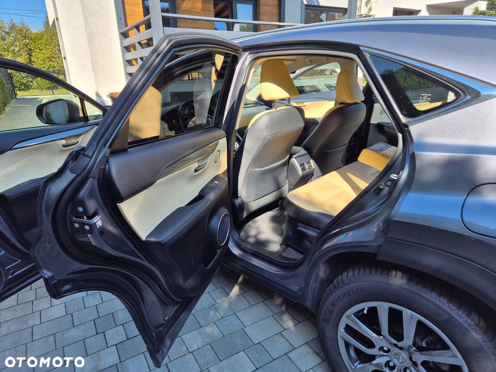 Lexus NX 300h Business Edition AWD - 20