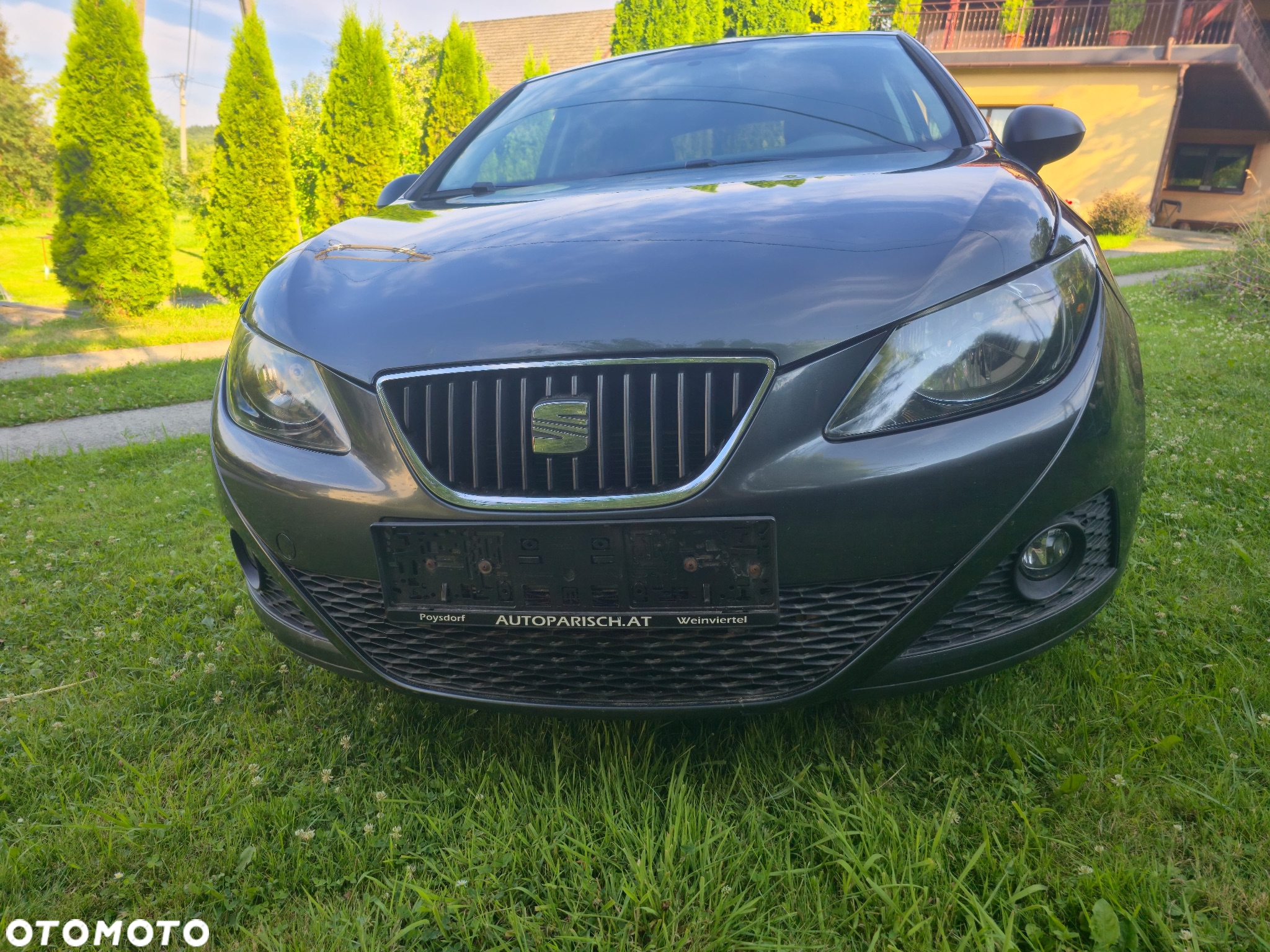 Seat Ibiza - 2