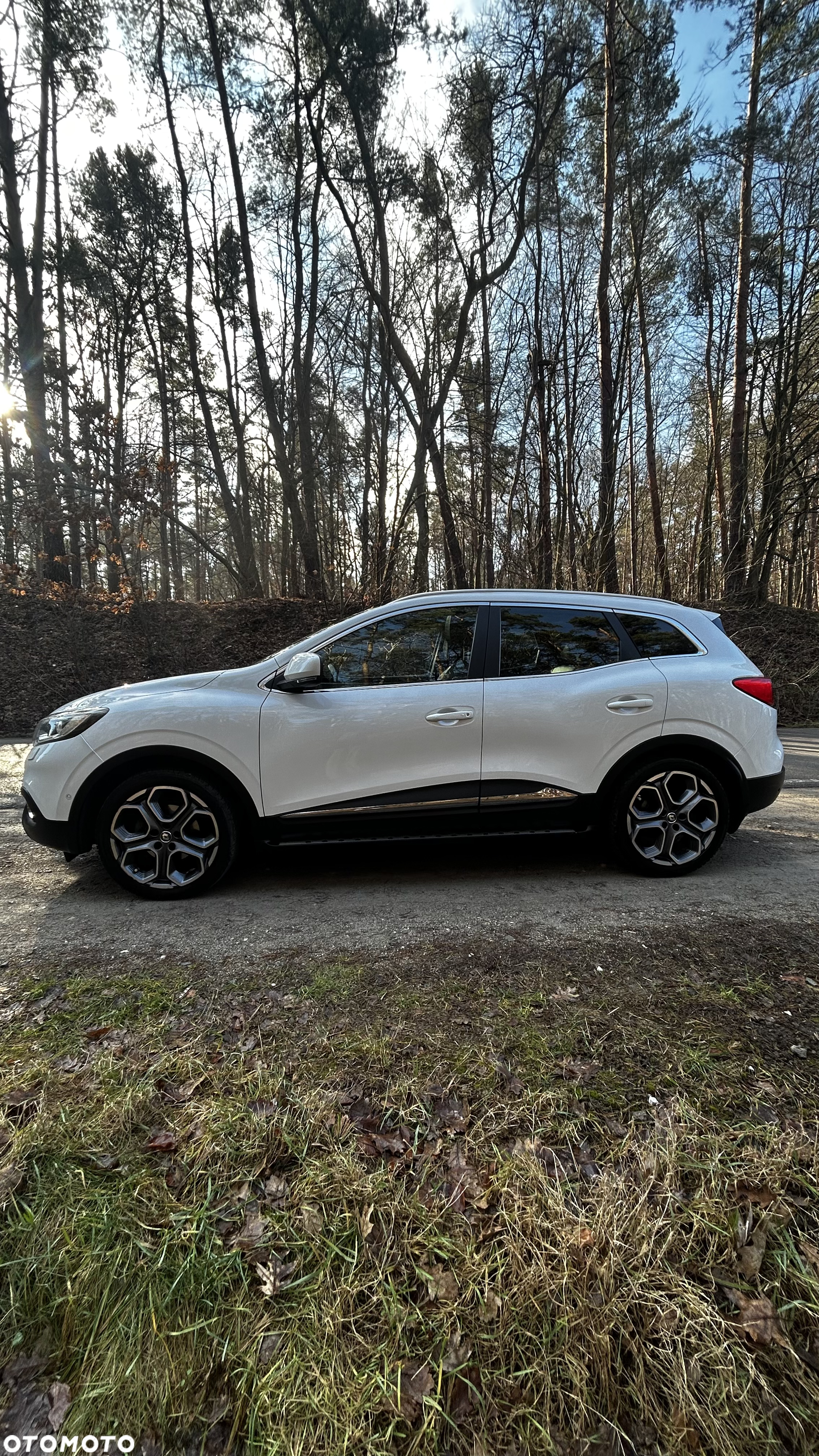 Renault Kadjar 1.2 Energy TCe Limited - 7