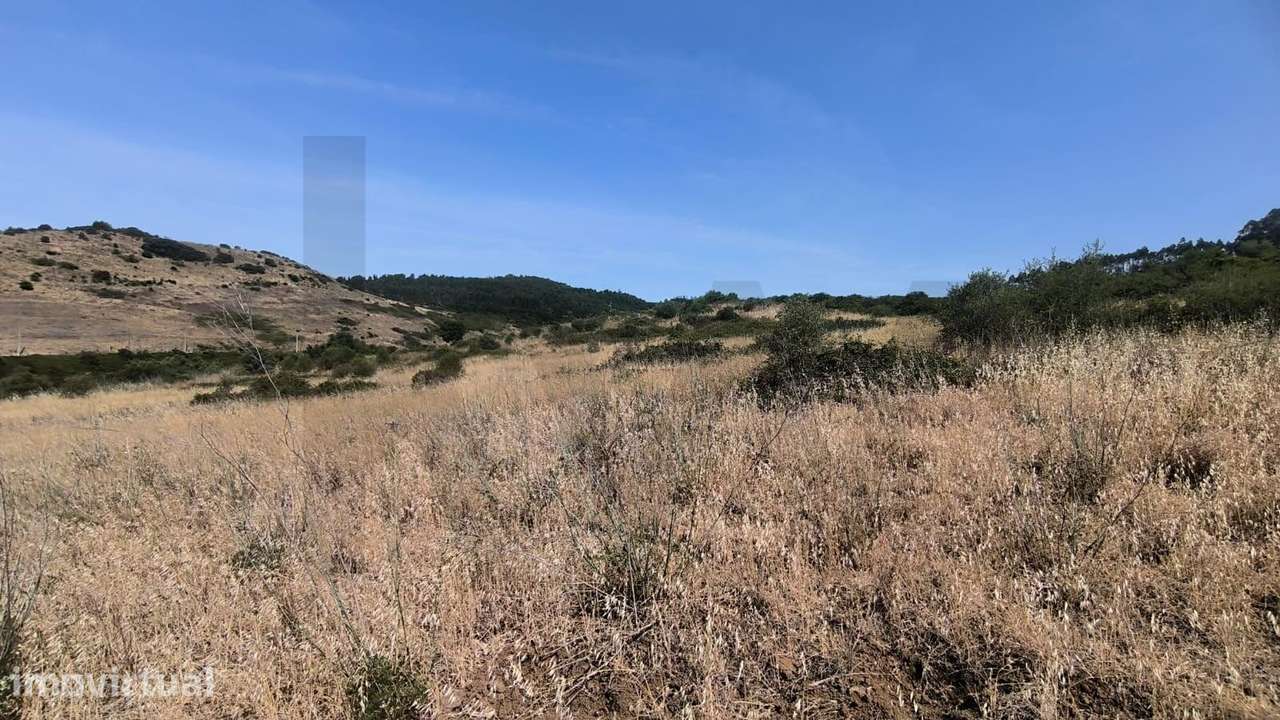 Terreno Rústico com 2 hectares junto à Ribeira de Fanhões| Loures - Grande imagem: 2/6