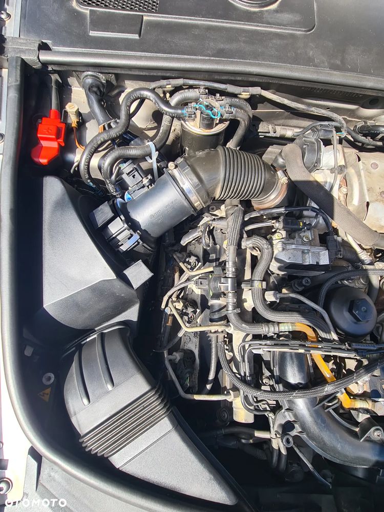 Audi A6 - 19