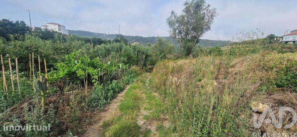 Terreno Agrícola em Azueira e Sobral da Abelheira - Grande imagem: 4/40