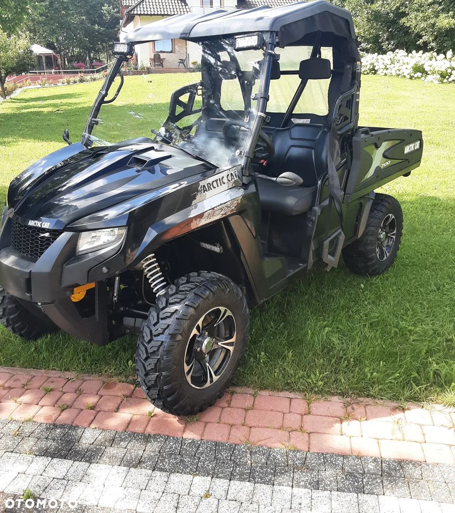 Arctic Cat Inny