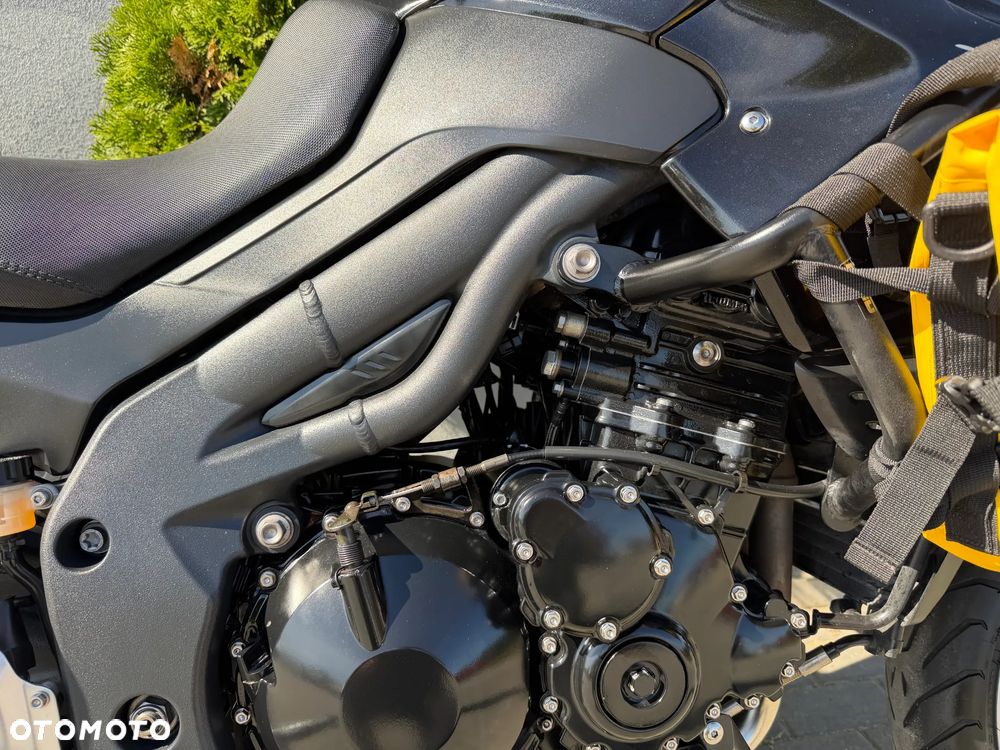 Triumph Tiger - 14