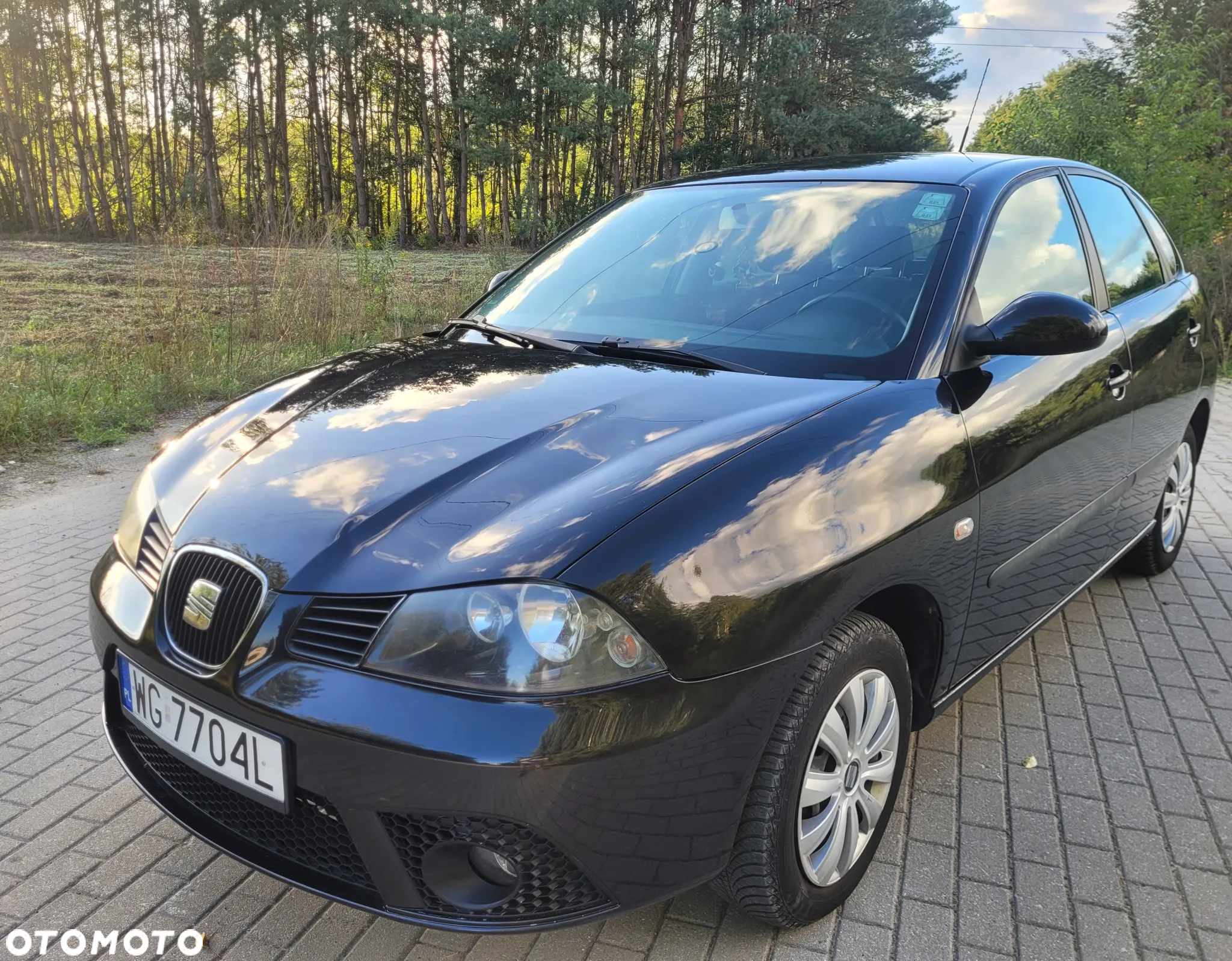 Seat Ibiza 1.4 16V Style - 5