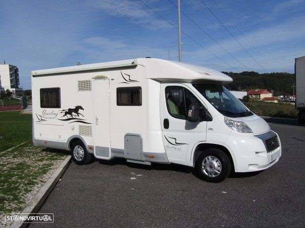 McLouis Yearling Série Limitada - 4