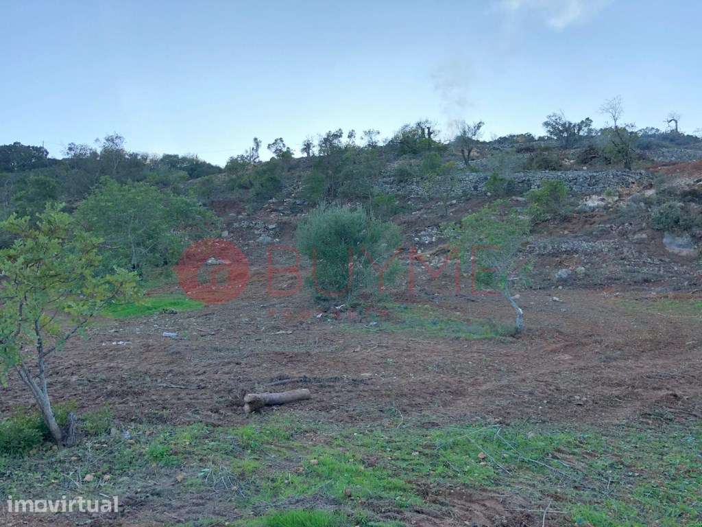 Terreno Urbano em Loulé com Vista Serra e Mar - Grande imagem: 5/5