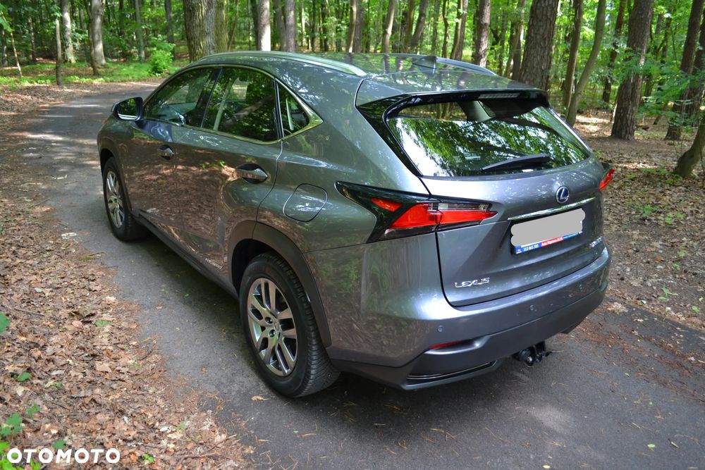 Lexus NX 300h - 5
