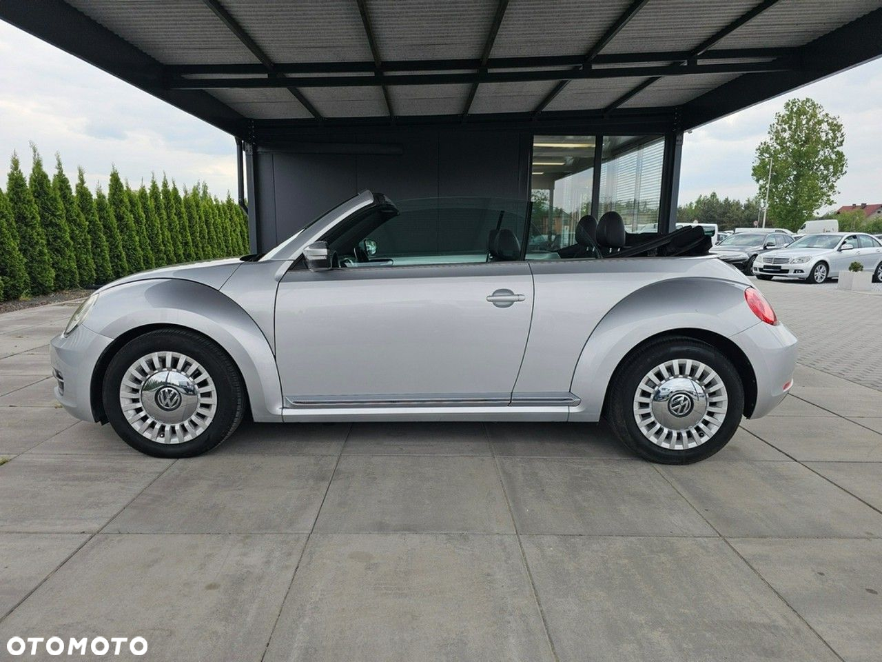 Volkswagen Beetle - 11