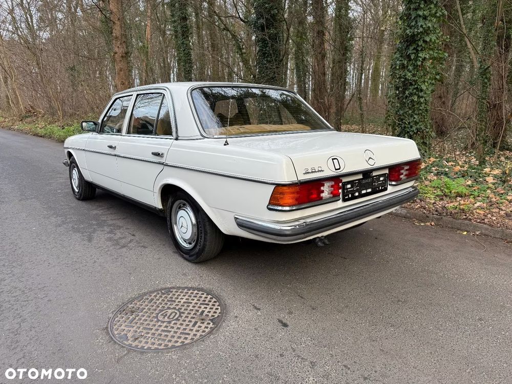 Mercedes-Benz W123 - 6