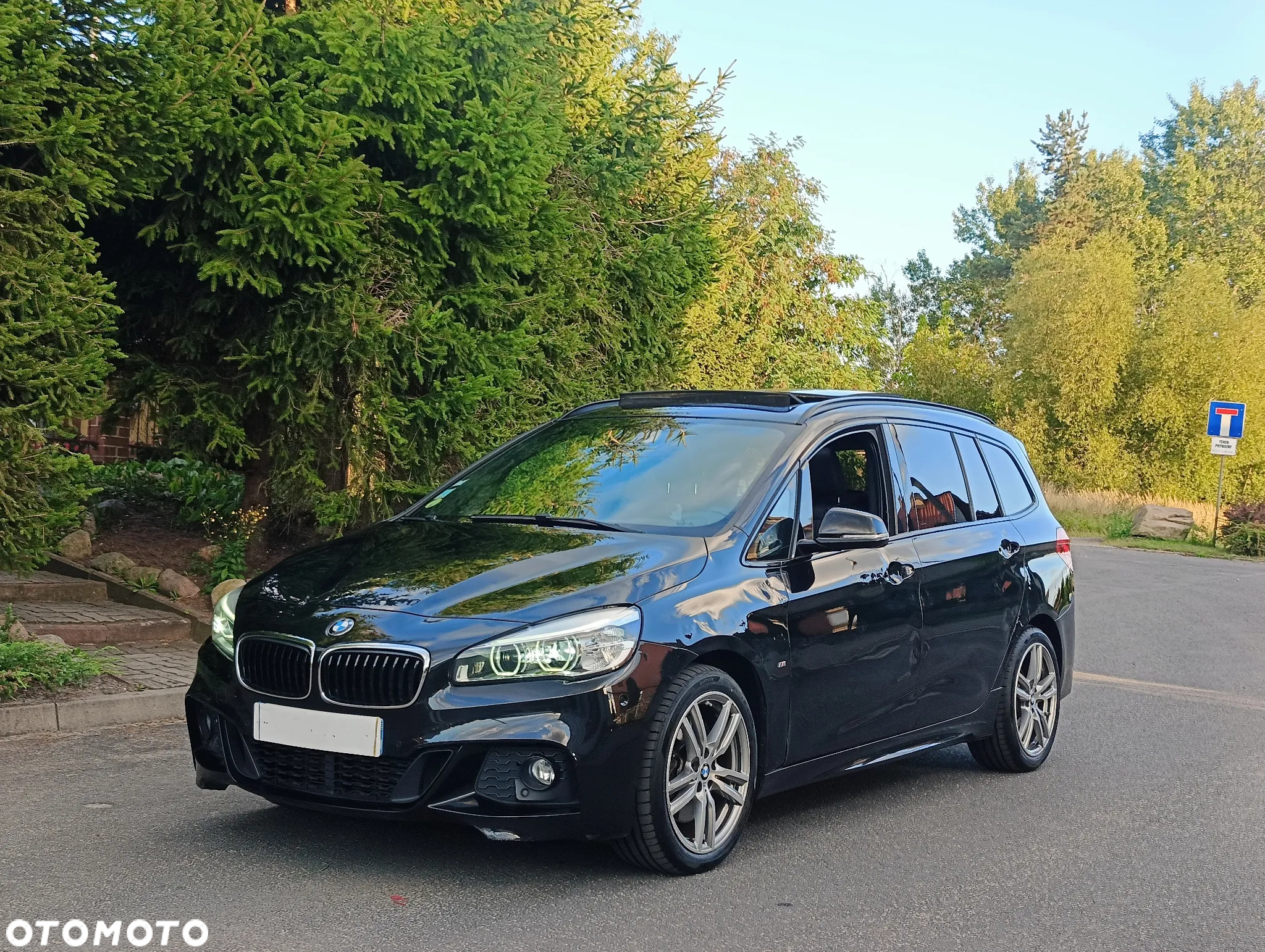 BMW Seria 2 220d Luxury Line sport - 39