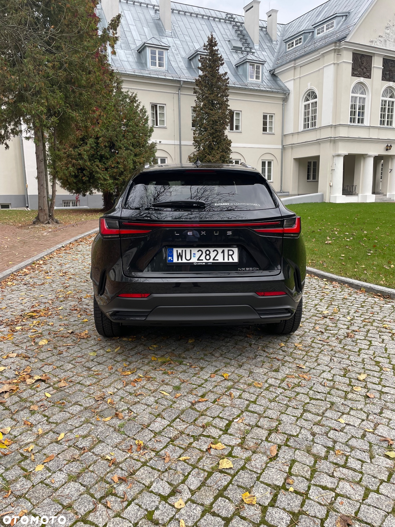 Lexus NX 350h Omotenashi AWD - 6
